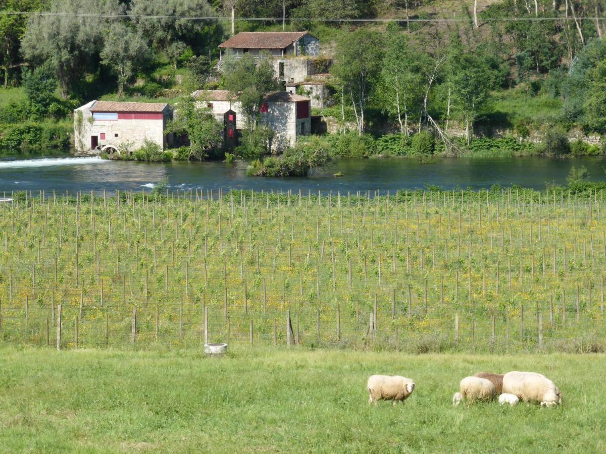 Quinta Do Burgo - Nature Hotel Amares Bagian luar foto