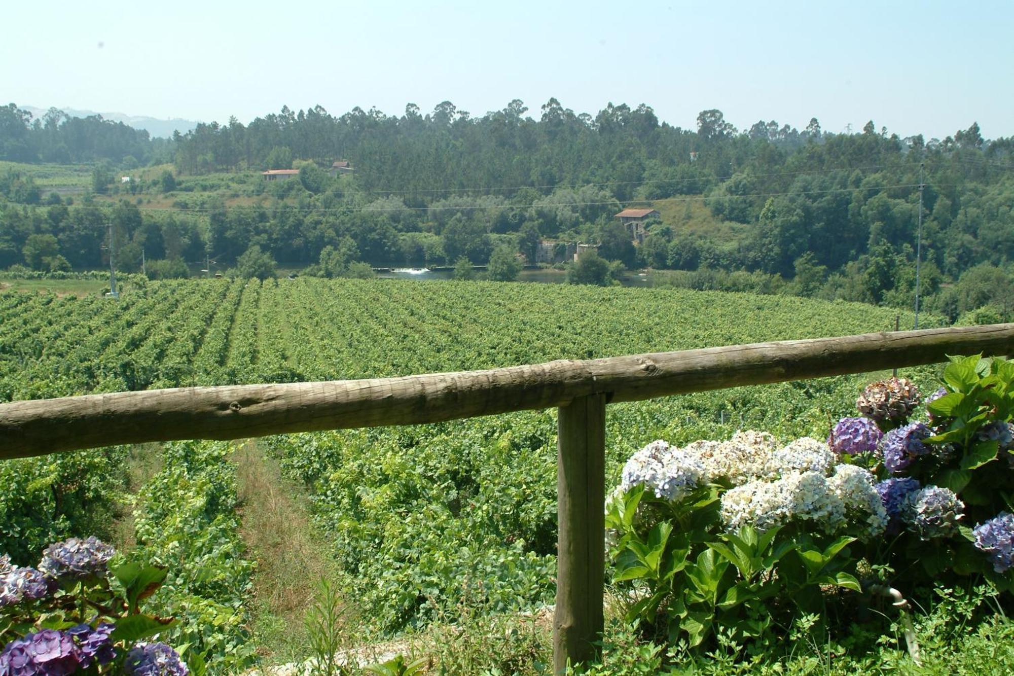 Quinta Do Burgo - Nature Hotel Amares Bagian luar foto